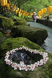 佳作獎12-桐花之圓心(2)-張立仁