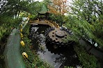 佳作獎21-蓮花座之美02-游凱婷